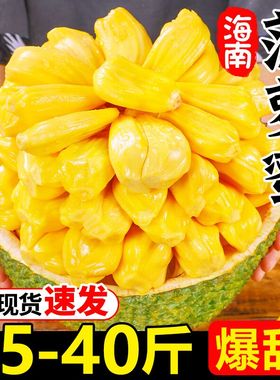 海南黄肉菠萝蜜新鲜水果20-45斤波罗蜜当季整箱特产一整个包邮红