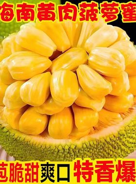 海南三亚黄肉菠萝蜜当季特产新鲜水果整箱40斤一整个木波罗蜜包邮