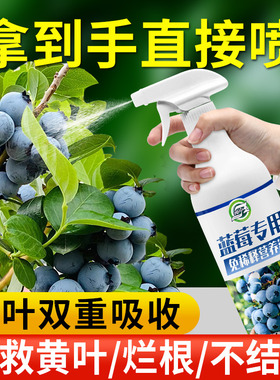 蓝莓专用营养液蓝莓肥料专用肥免稀释营养液家用盆栽有机液体肥料