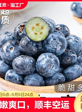 云南蓝莓果顺丰高端新鲜水果当季蓝梅高山怡甜孕妇整箱包邮野颗果