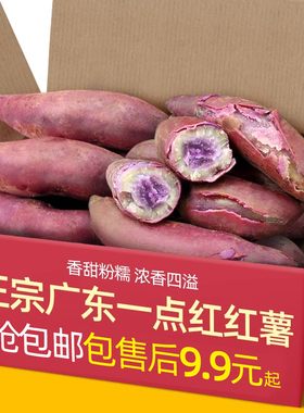 正宗广东一点红红薯9斤粉糯地瓜板栗薯山芋新鲜5冰淇淋番薯紫心薯