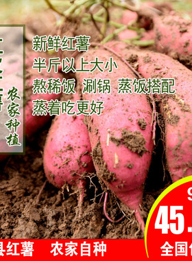 新鲜蜜薯红薯香甜地瓜红薯板栗薯番薯红芍农家自种沙地板栗薯9斤