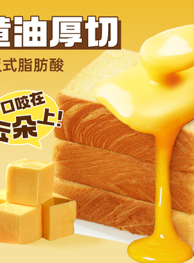 面包计划北海道厚切提子吐司面包红豆黄油手撕面包整箱营养早餐