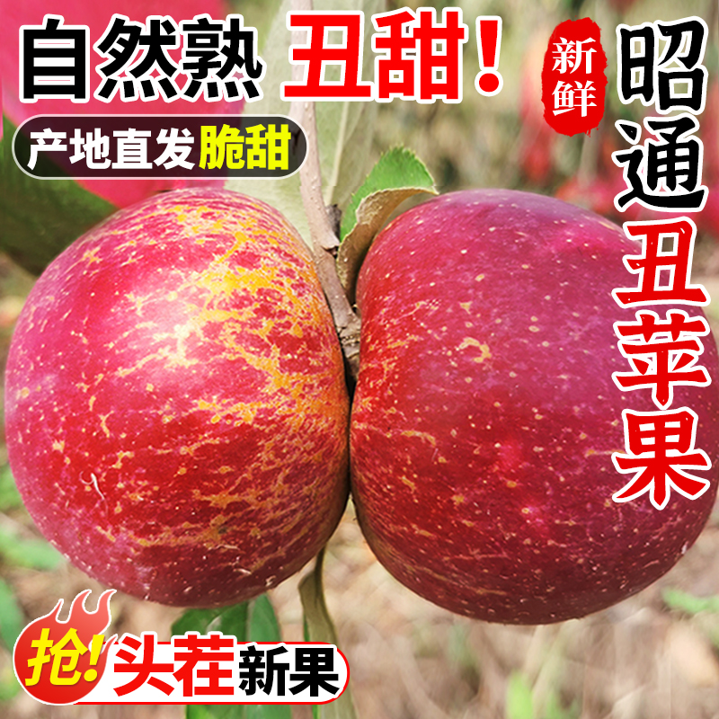 云南昭通市丑苹果10斤新鲜水果当季现摘冰糖心萍果红富士整箱包邮