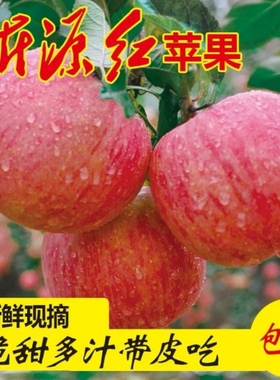 山东沂源红红富士苹果水果新鲜当季整箱脆甜多汁包邮10斤小果