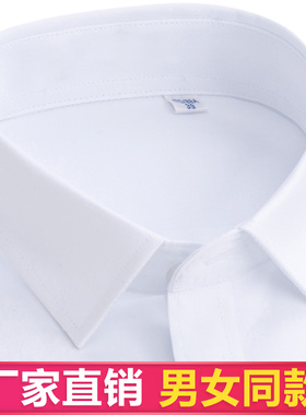 纯白衬衫男士短袖商务职业正装纯色短袖衬衣大码免烫夏季薄款寸衫