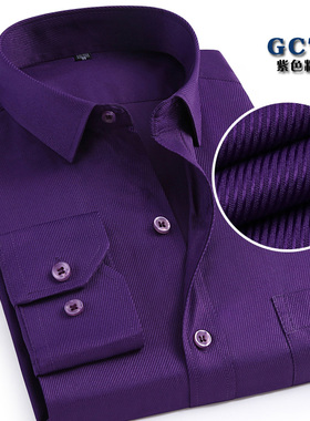 春季紫色衬衫男长袖青年商务职业工装休闲斜纹白衬衣男寸衫打底衫