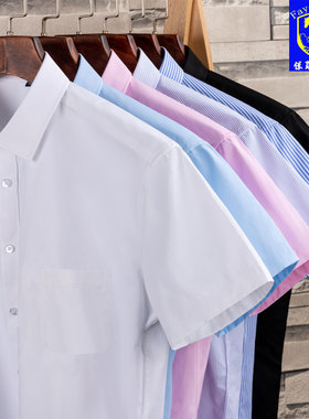 保罗高端工装纯色短袖衬衫男士夏季薄款职业商务休闲寸条纹白衬衣