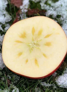 新疆阿克苏冰糖心苹果脆甜新鲜好吃当季水果红富士整箱10斤年货
