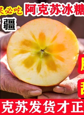 正宗新疆阿克苏冰糖心苹果9斤当季时令新鲜水果整箱丑苹果5骄瑰ZZ