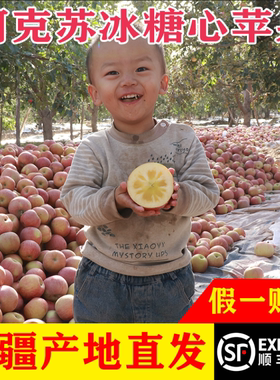 新疆阿克苏冰糖心苹果当季新鲜特级大水果正宗红富士整箱现摘现发
