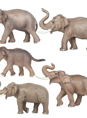 仿真大象玩具动物模型塑料实心亚洲象非洲象儿童科教认知摆件礼物
