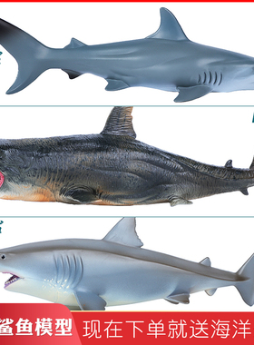仿真海洋生物型巨齿鲨玩具鲨鱼锤头鲨大白鲨动物模型儿童男孩礼物