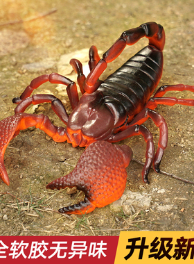 蝎子模型毒蝎玩具大号仿真昆虫儿童玩具动物蜘蛛蚱蜢瓢虫独角仙61