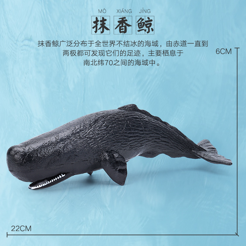 抹香鲸仿真海洋生物玩具动物模型认知海底世界3螃蟹4龙虾5抹香鲸6