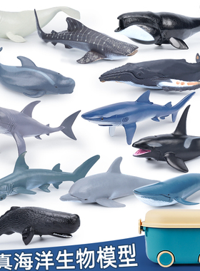 仿真海洋动物海底生物模型玩具大白鲨鲨鱼鲸鱼虎鲸海豚抹香鲸儿童