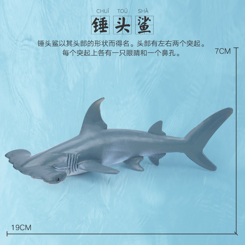 锤头鲨海洋动物玩具仿真模型生物世界儿童认知3鲸鱼海豚海龟鲨鱼6