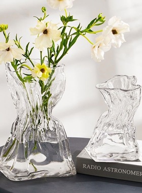 不规则玻璃花瓶透明水养鲜花客厅桌面插干花高级感ins风装饰摆件