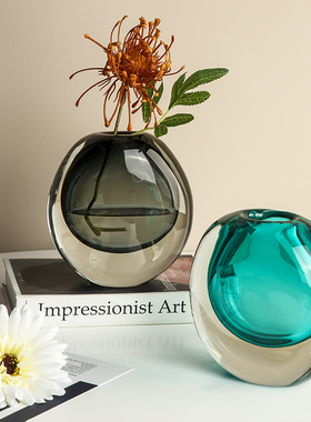 贝汉美简约玻璃花瓶摆件创意客厅插花现代轻奢玄关桌面软装饰品