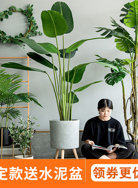 仿真植物假天堂鸟仿生绿植盆栽摆件旅人蕉芭蕉树室内客厅装饰造景