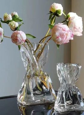 玻璃花瓶高级感不规则ins风透明民宿客厅桌面插花水养装饰摆件