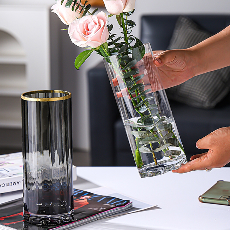 大号玻璃花瓶轻奢高级感客厅插花摆件北欧简约透明水养富贵竹花瓶