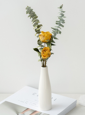 尤加利玫瑰干花花束ins家居装饰摆件天然真花花束洋桔梗摄影道具
