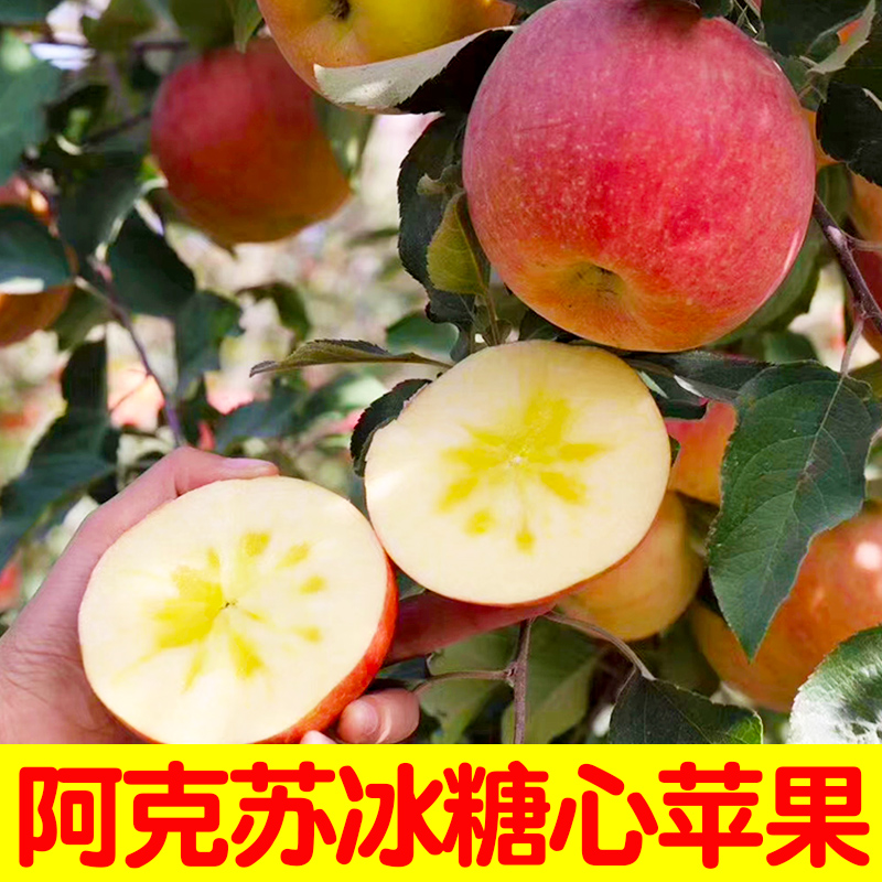 苹果水果红富士正宗新疆阿克苏苹果新鲜当季脆甜冰糖心坏果包赔1