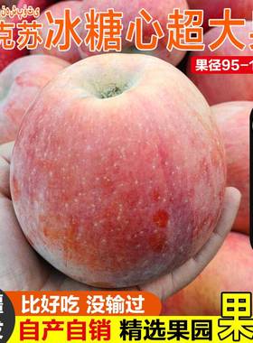 正宗新疆阿克苏冰糖心苹果新鲜水果红旗坡特级大果丑苹果整箱10斤