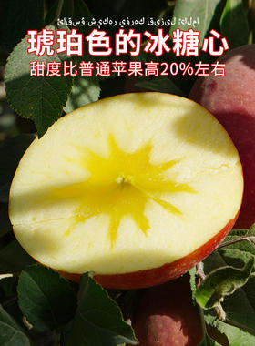新疆阿克苏冰糖心苹果6颗新鲜水果整箱包邮红富士应当季丑萍平果