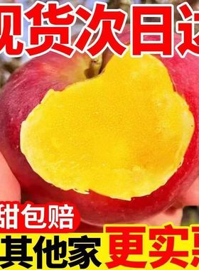 【精品】正宗新疆阿克苏冰糖心苹果水果新鲜脆甜3斤红富士苹果5