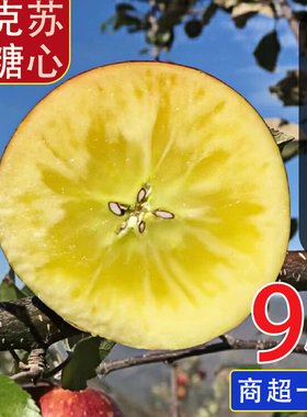 新疆阿克苏冰糖心苹果红富士苹果5斤当季新鲜水果整箱包邮丑苹果9