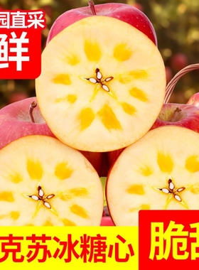 （全网低价）冰糖心阿克苏苹果红富士当季新鲜水果