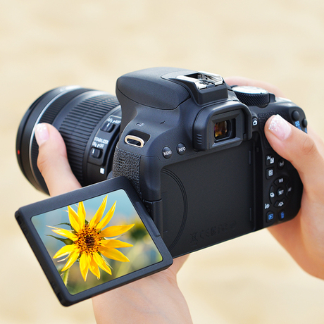 Canon/佳能800D EOS18-55套机入门级单反照相机数码高清旅游摄影