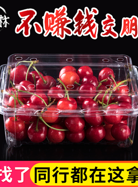 一次性水果盒子带盖透明塑料樱桃草莓一斤装盒子网红食品级包装盒