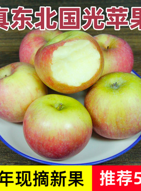 东北国光苹果5斤装包邮辽宁特产新鲜水果2斤非烟台小红富士