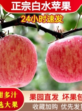 白水红富士苹果5斤陕西新鲜水果脆甜无渣冰糖心丑平果整箱10斤装