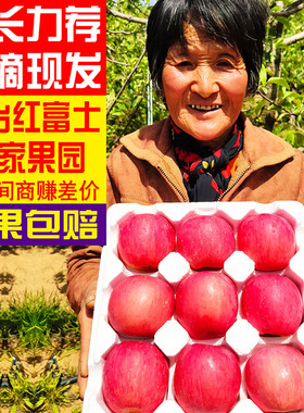 山东烟台苹果栖霞红富士水果大苹果新鲜5斤装脆甜一级果整箱