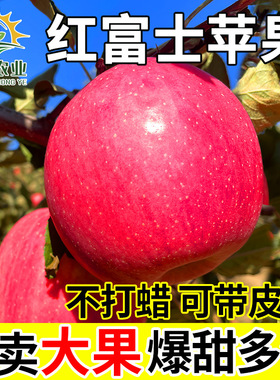 正宗脆甜红富士苹果 冰糖心当季现摘孕妇时令水果丑苹果整箱5斤装