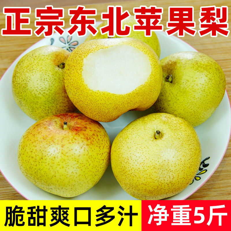 东北苹果梨5斤装包邮东北延边龙井特产香酥梨子做冻梨新鲜水果