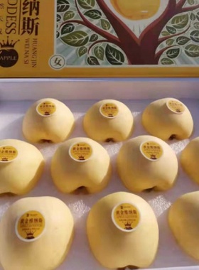 山东黄金维纳斯苹果新鲜水果5斤礼盒装奶油富士北京当日达
