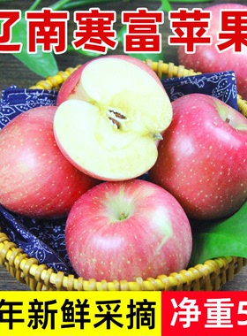 辽南寒富苹果5斤装包邮东北大连红富士特产新鲜水果