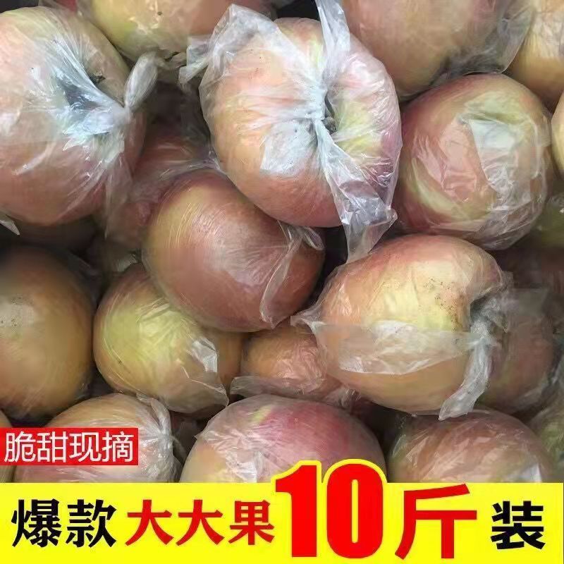 红富士膜袋苹果陕西当季新鲜水果脆甜多汁产地直发净重5斤/9斤装