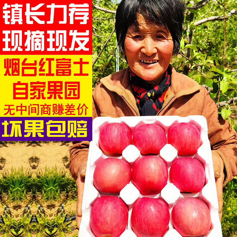 山东烟台苹果栖霞红富士水果大苹果新鲜5斤装脆甜一级果整箱