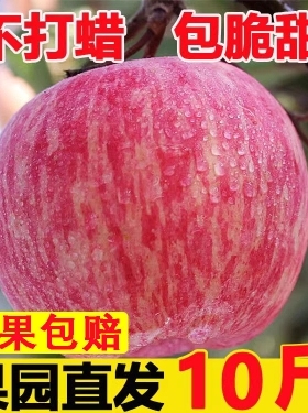 正宗白水红富士苹果陕西新鲜水果5斤脆甜无渣冰糖心丑平果9斤装