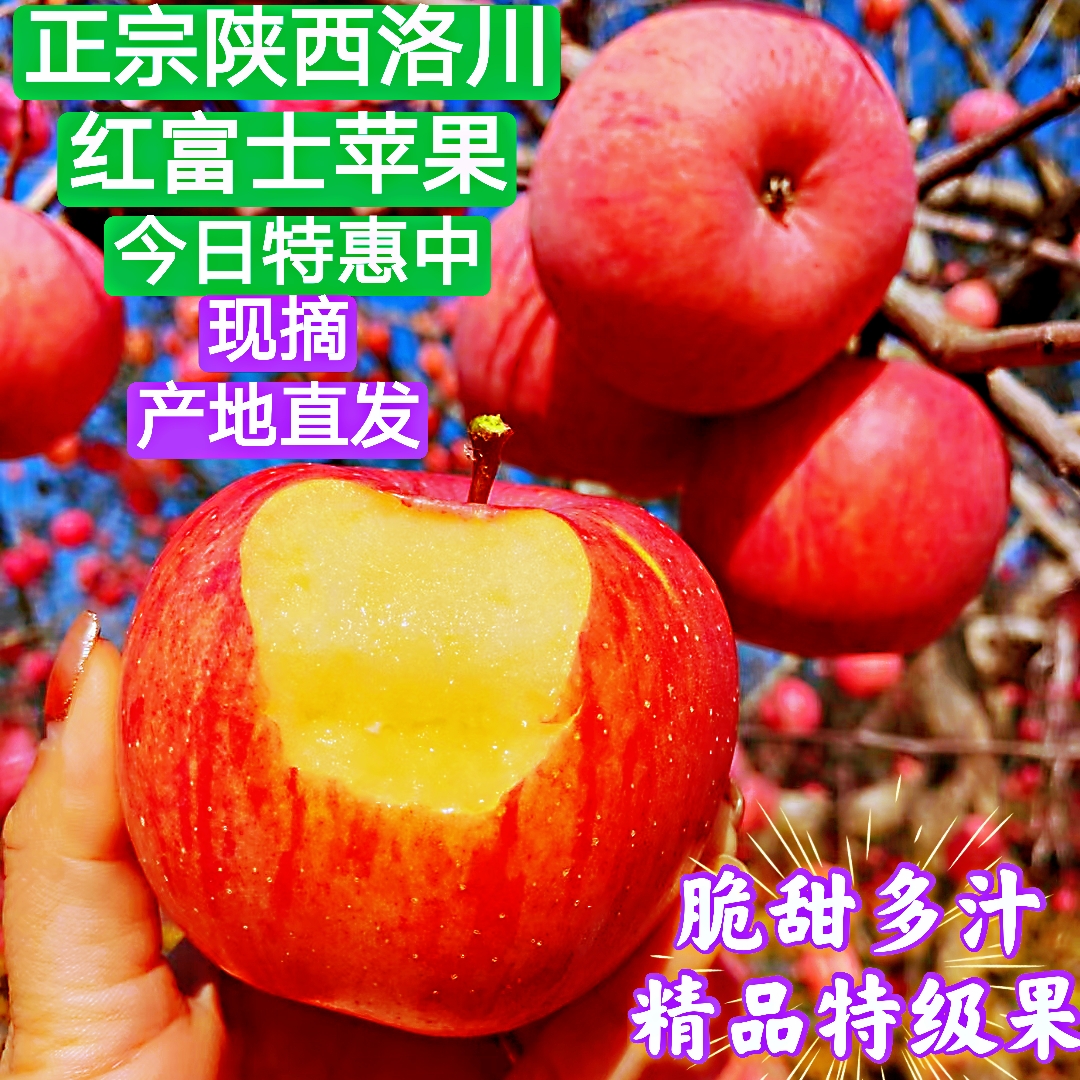 陕西洛川正宗红富士苹果5斤装