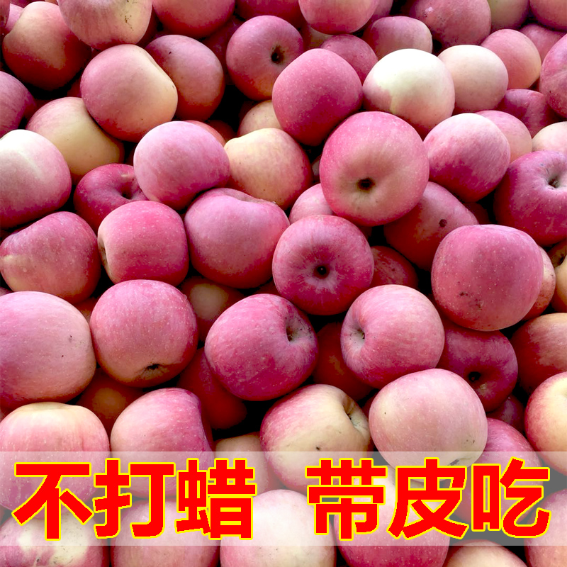 新鲜苹果当季水果陕西延安洛川高山红富士整箱5斤装包邮脆甜苹果