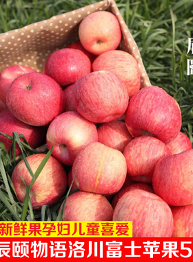 辰颐物语陕西洛川苹果红富士5斤装6-12个鲜果颐和果园孕妇儿童