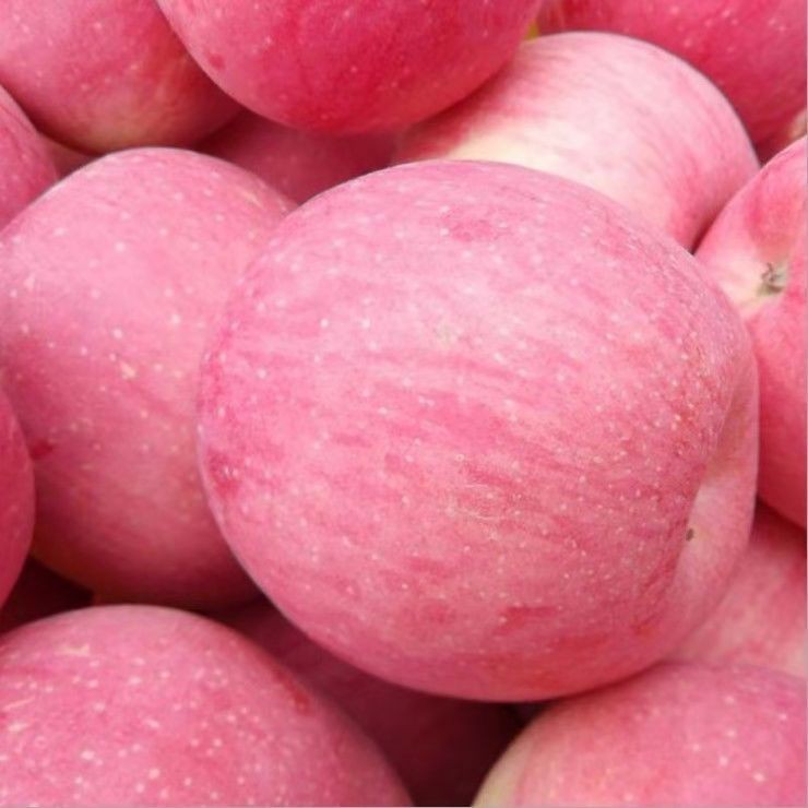 正宗红富士苹果时令新鲜水果脆甜当季孕妇水果5斤装包邮
