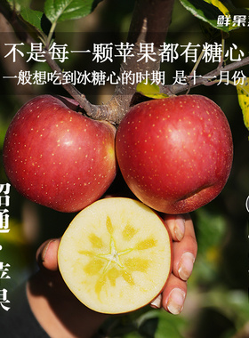 【顺丰包邮】云南昭通红露丑苹果冰糖心当季红富士新鲜水果5斤装